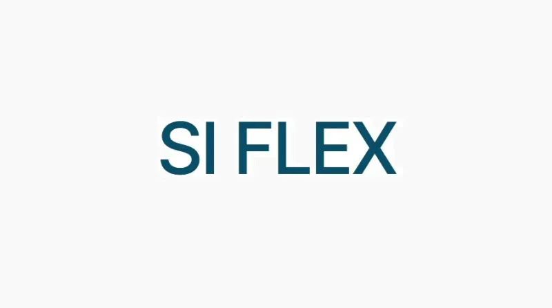 永豐電子因質量問題被踢出蘋果供應鏈！SI Flex 接棒為 iPhone 16 提供 RFPCB