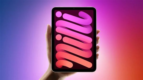 K̭LCDOiPad mini 8״(j)OLEDĻ