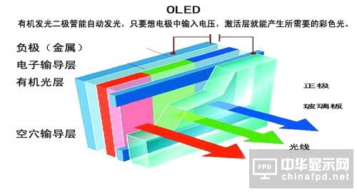 OLED@ʾԭD