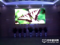 LED電子顯示屏在國內的行情到底如何