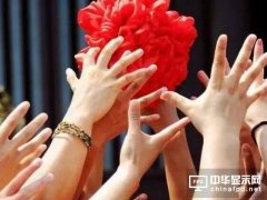 京東方能接住蘋果拋出的面板繡球嗎？