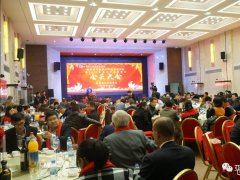 辭舊迎新 “深圳市平板顯示行業協會年會暨2017年顯示產業春茗會