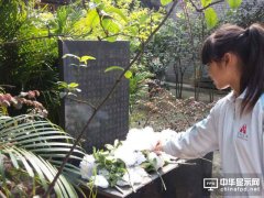 VR掃墓什么鬼 這樣的直播祭祖意義何在?