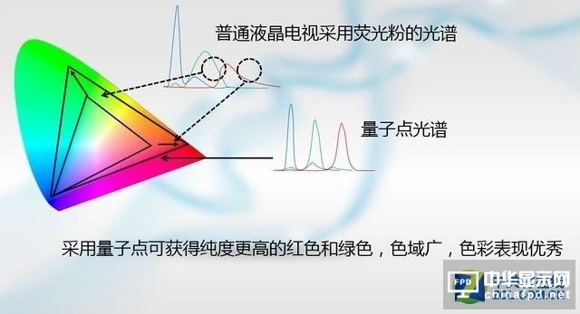 革新與顛覆 OLED/量子點(diǎn)顯示孰能稱王?