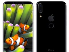 臺灣供應鏈：定了！iPhone新版9月發布 10月開售