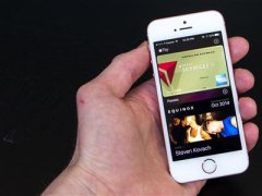 iPhone SE 2C |(zh)ֱpz