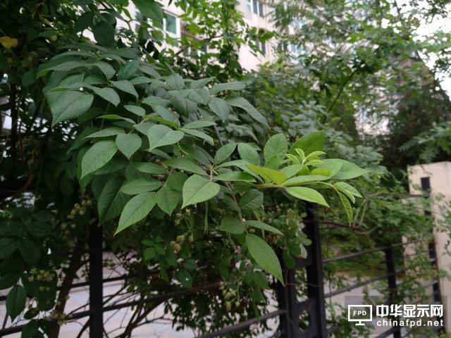小米Max 2評(píng)測(cè)：才不是只有大屏大電池！