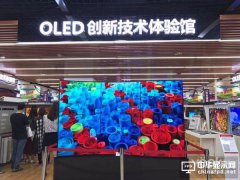 ׃δ@ʾʽ ̽OLED¼gw^