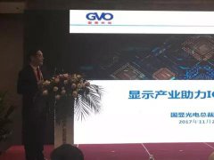 陳鋼博士：顯示產業助力集成電路產業發展