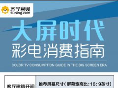 彩電市場一味求大 巨屏競賽切勿“華而不實”