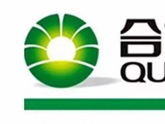 斥資65億 合力泰擬建年產(chǎn)60萬張準(zhǔn)6代a-Si TFT LCD面板項目
