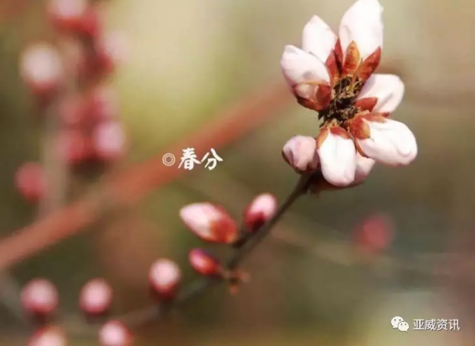 時光不負趕路人|盤點近來面板領域大動作